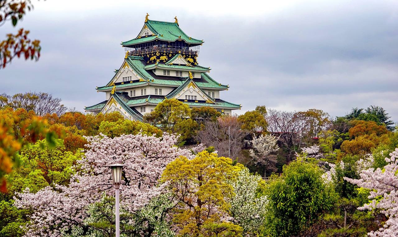 林芝追寻梦想的起点：为何选择高考后去日本留学？